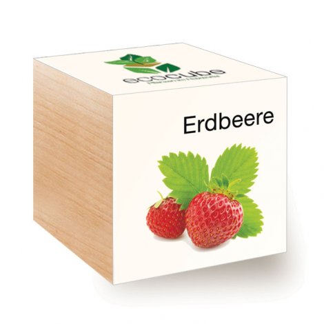 Hauptbild: Ecocube Erdbeeren
