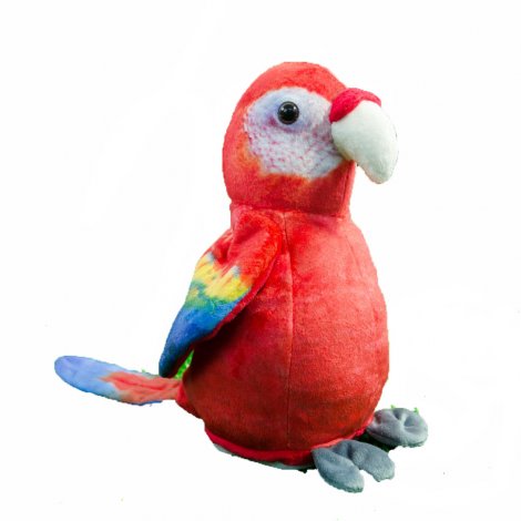 Hauptbild: Laber-Papagei Sunny rot