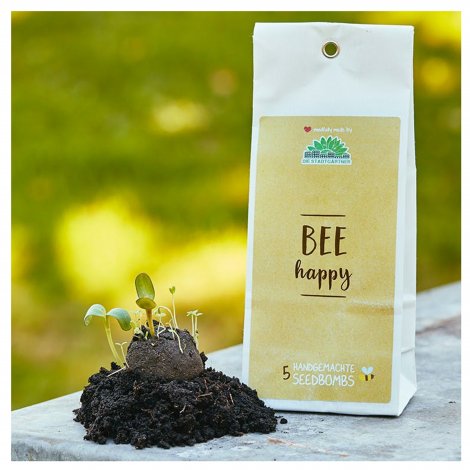 Hauptbild: Samenbomben Bee happy