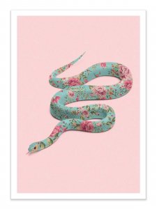 Art-Poster - Floral Snake - Paul Fuentes