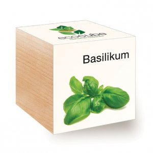 Ecocube Basilikum