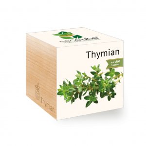 Ecocube Thymian