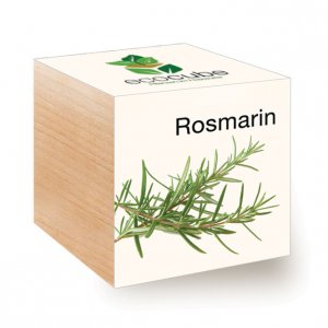 Ecocube Rosmarin