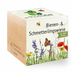 Ecocube Bienen- & Schmetterlingswiese