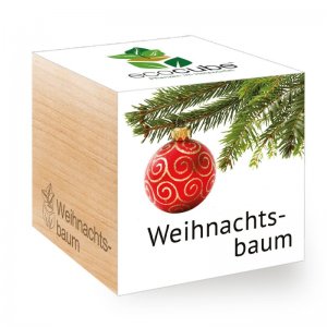 Ecocube Weihnachtsbaum